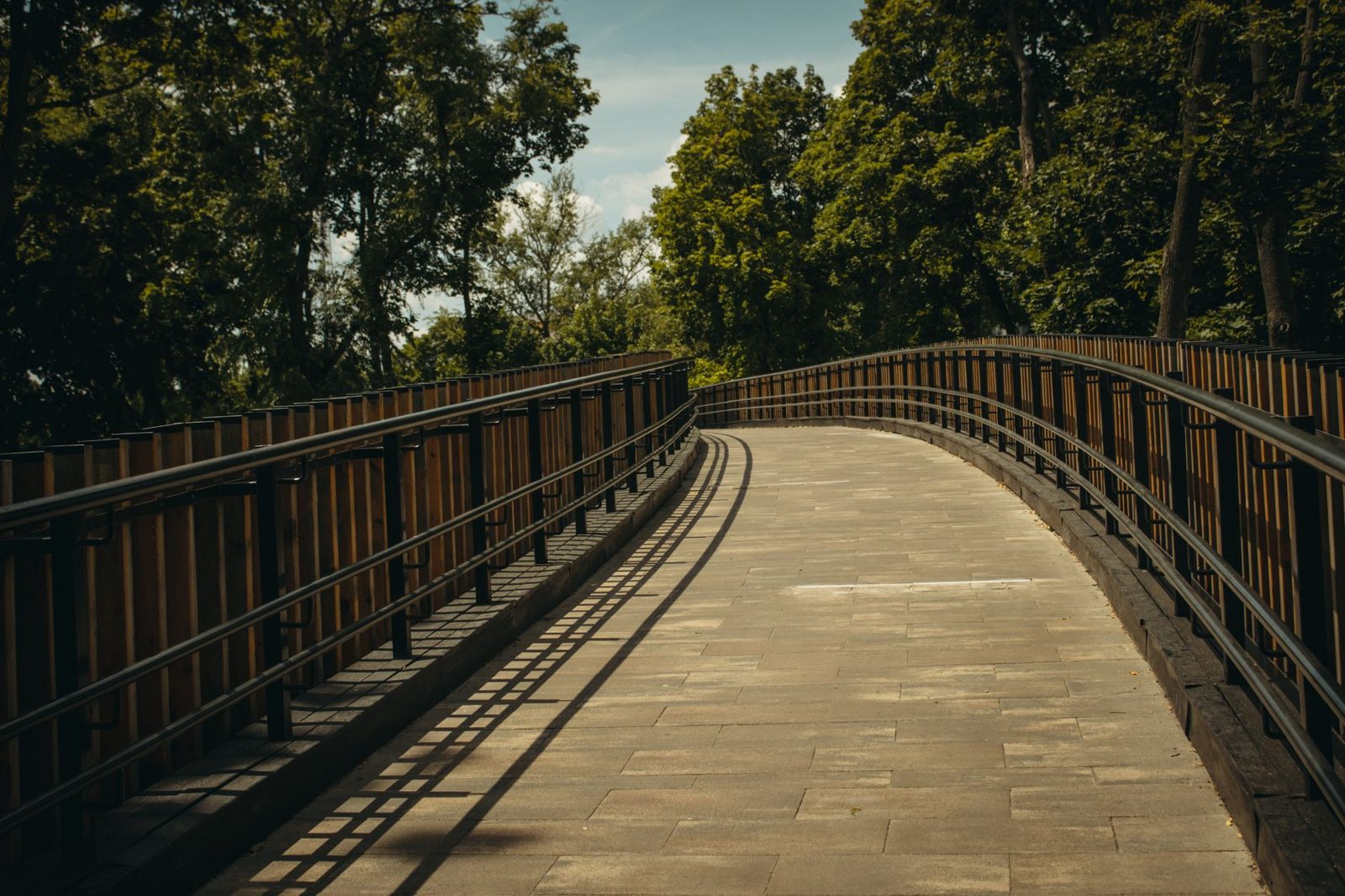 A boardwalk ramp through trees