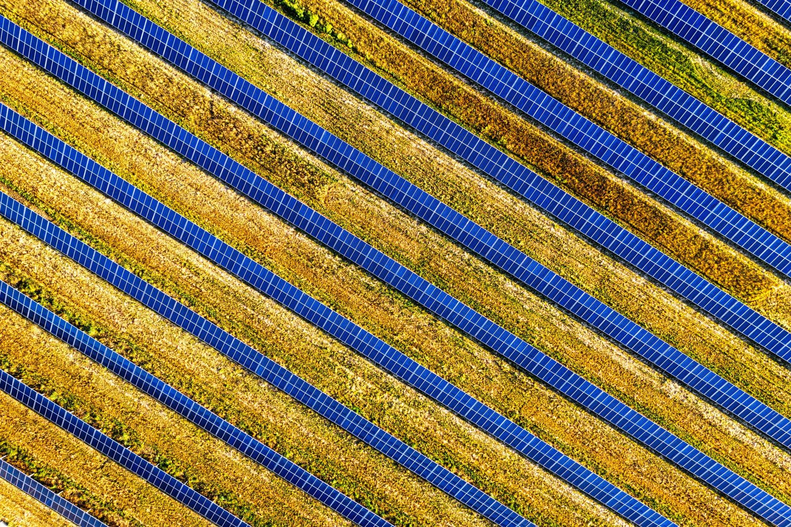 Rows of solar panels from above