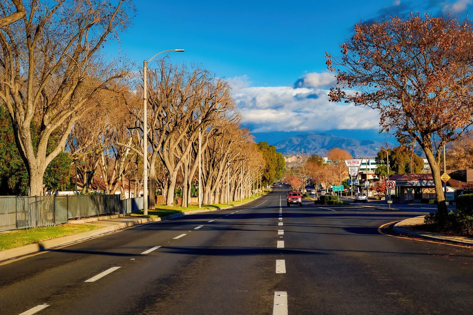 A tree lined residential street in autumn