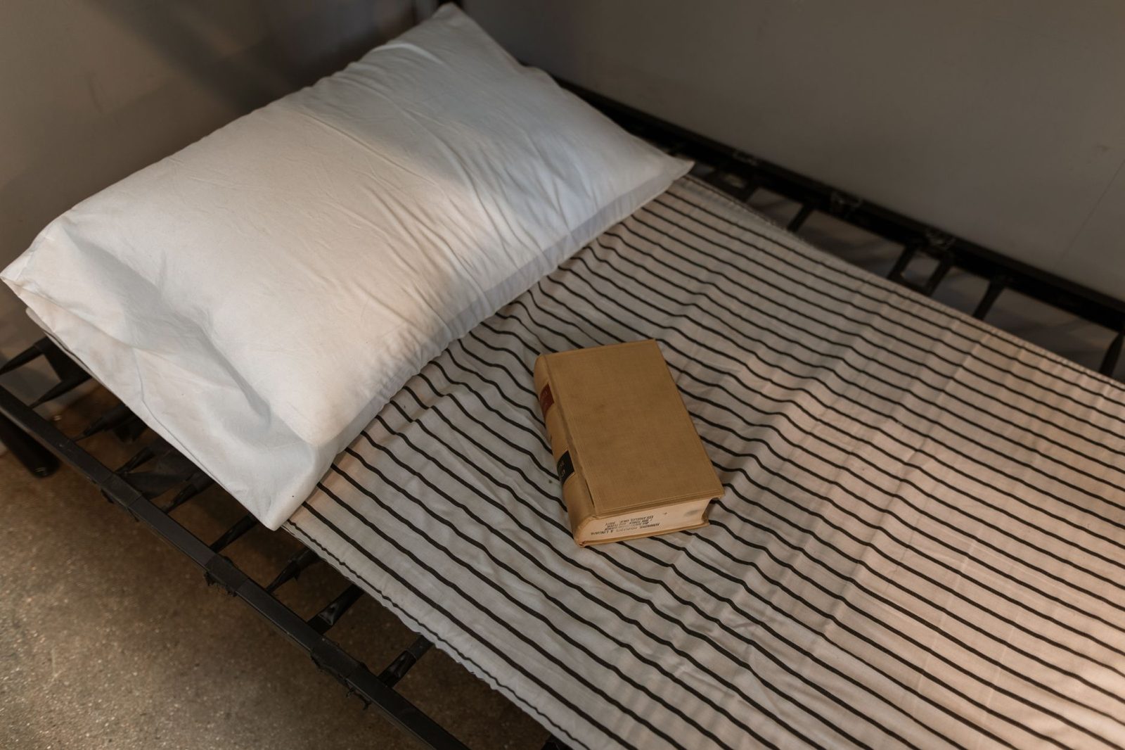 Rows of cots set up inside an emergency shelter gym