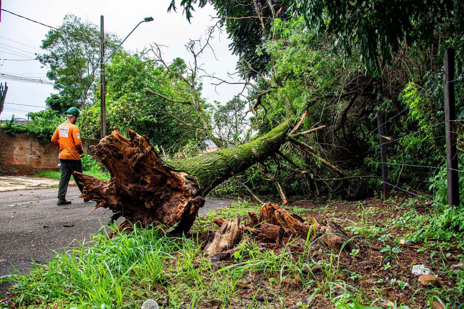 Workers clearing debris from a damaged neighborhood after a disaster
