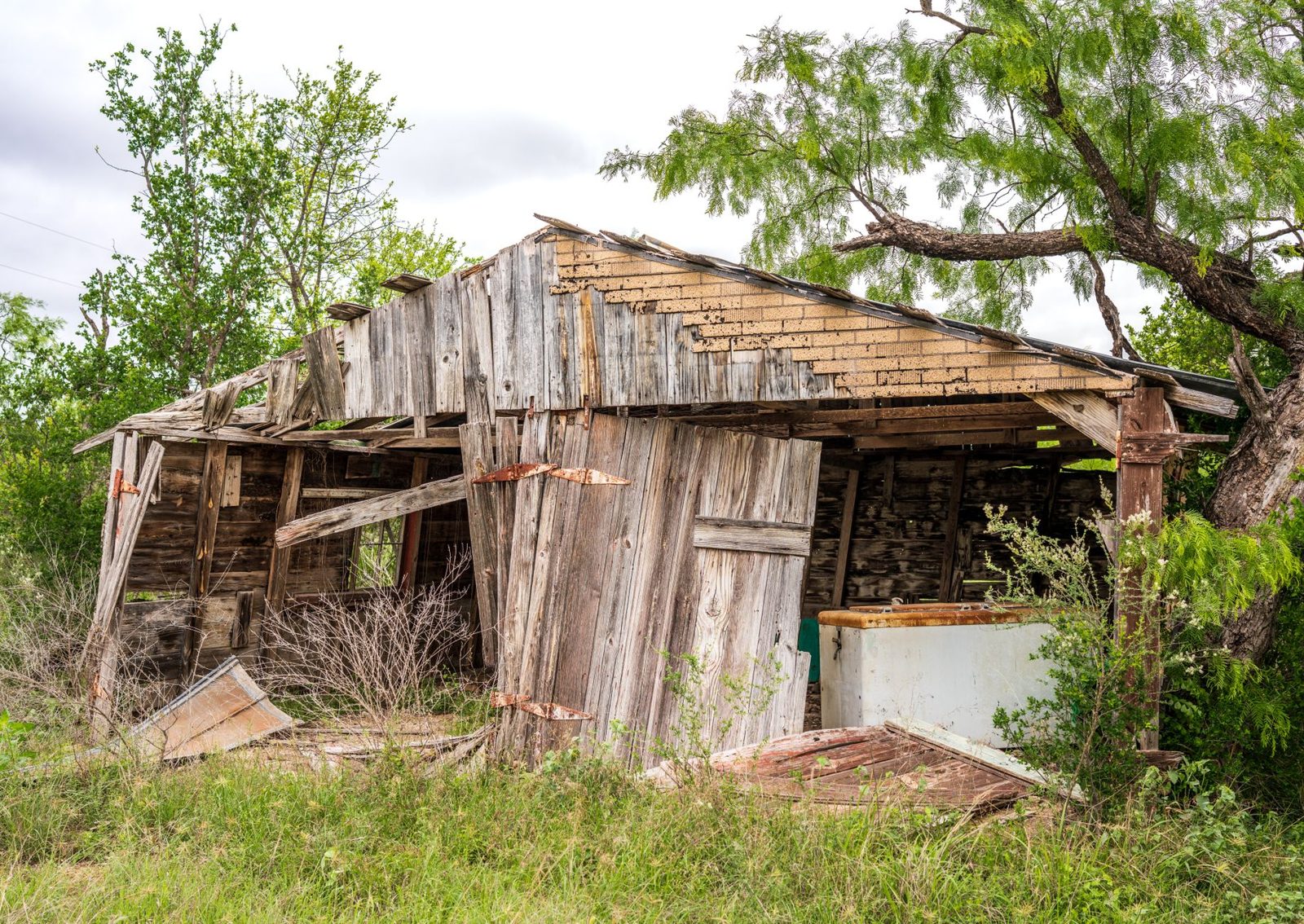 An old ranch shed in South Texas brush
