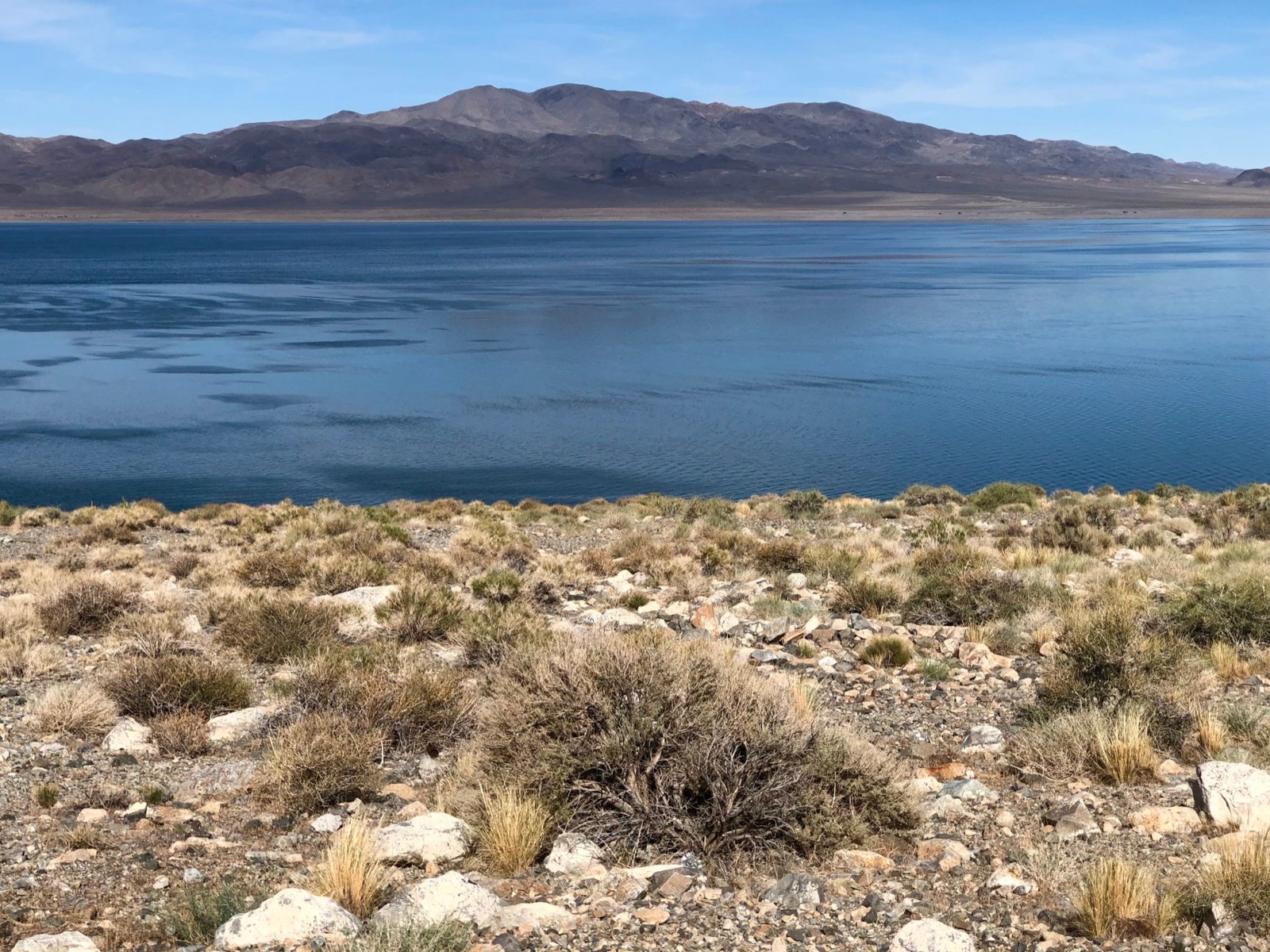 A high desert lake below dry mountains with sagebrush along the shore