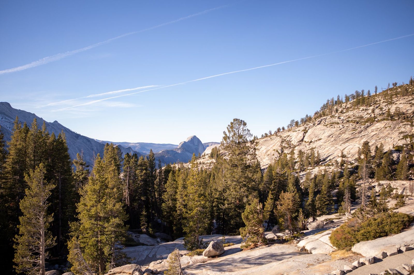 Granite slabs and pine forest in the Sierra Nevada