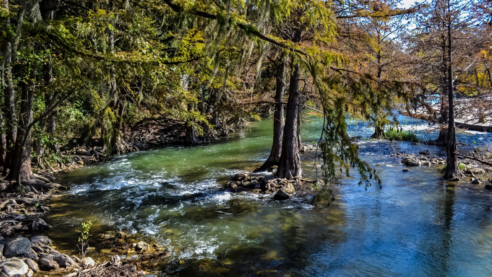 A cypress lined creek in the Texas Hill Country
