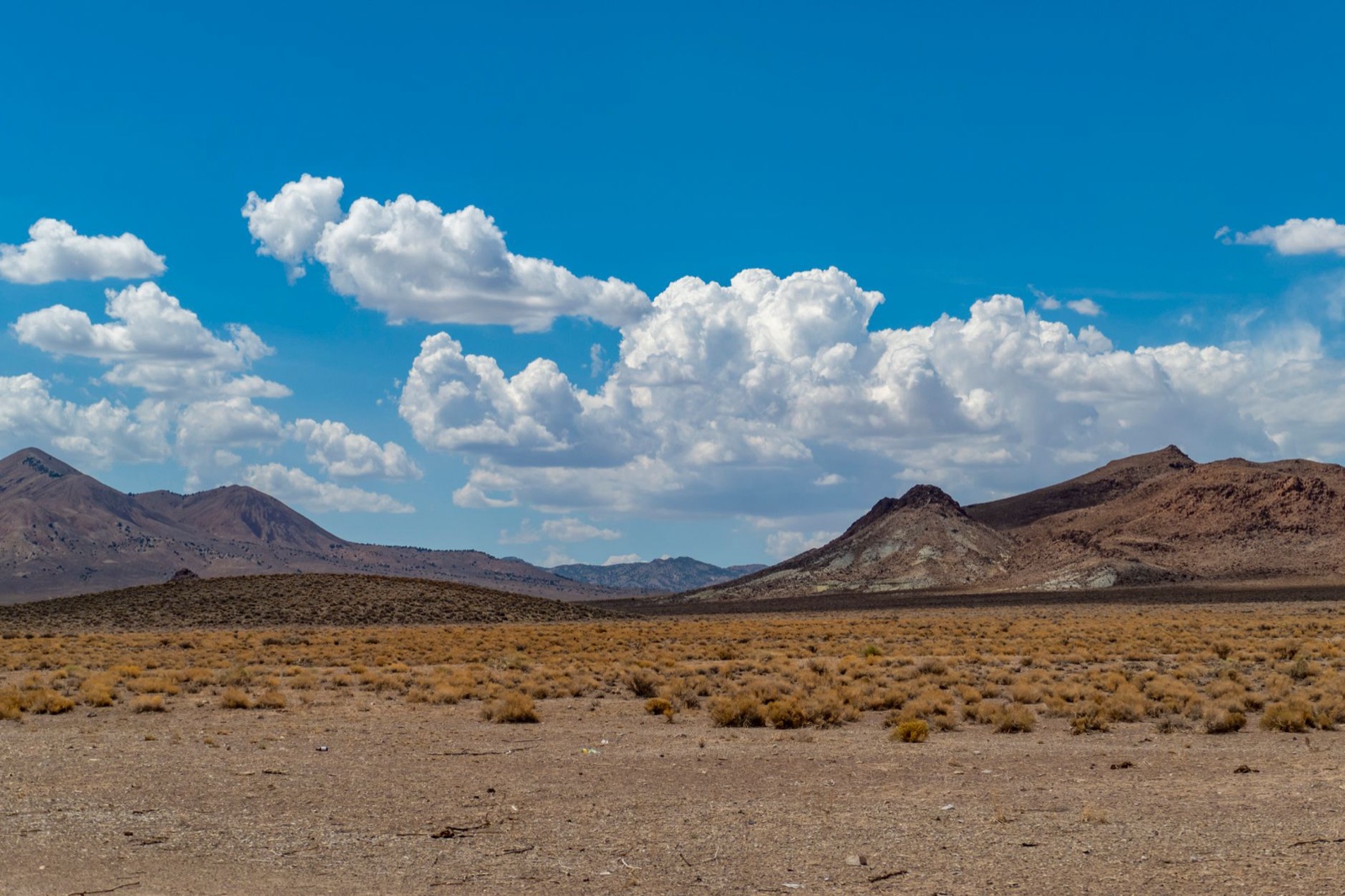 Open sagebrush flats under summer clouds below brown desert mountains