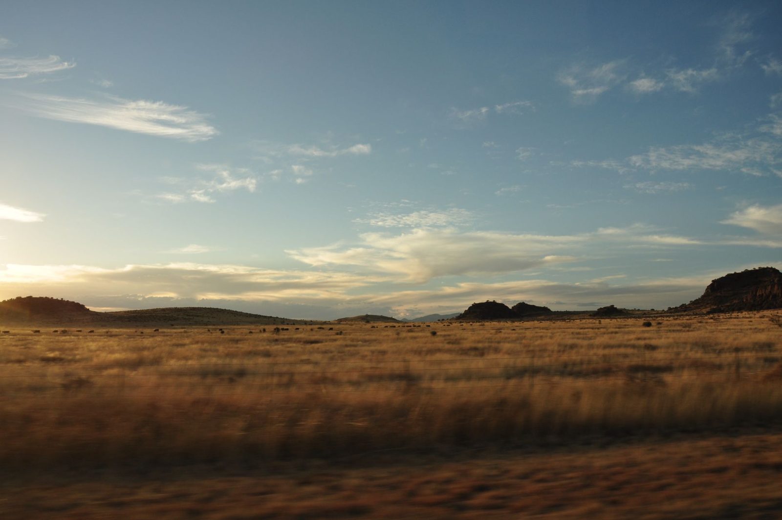Flat Panhandle plains at dusk