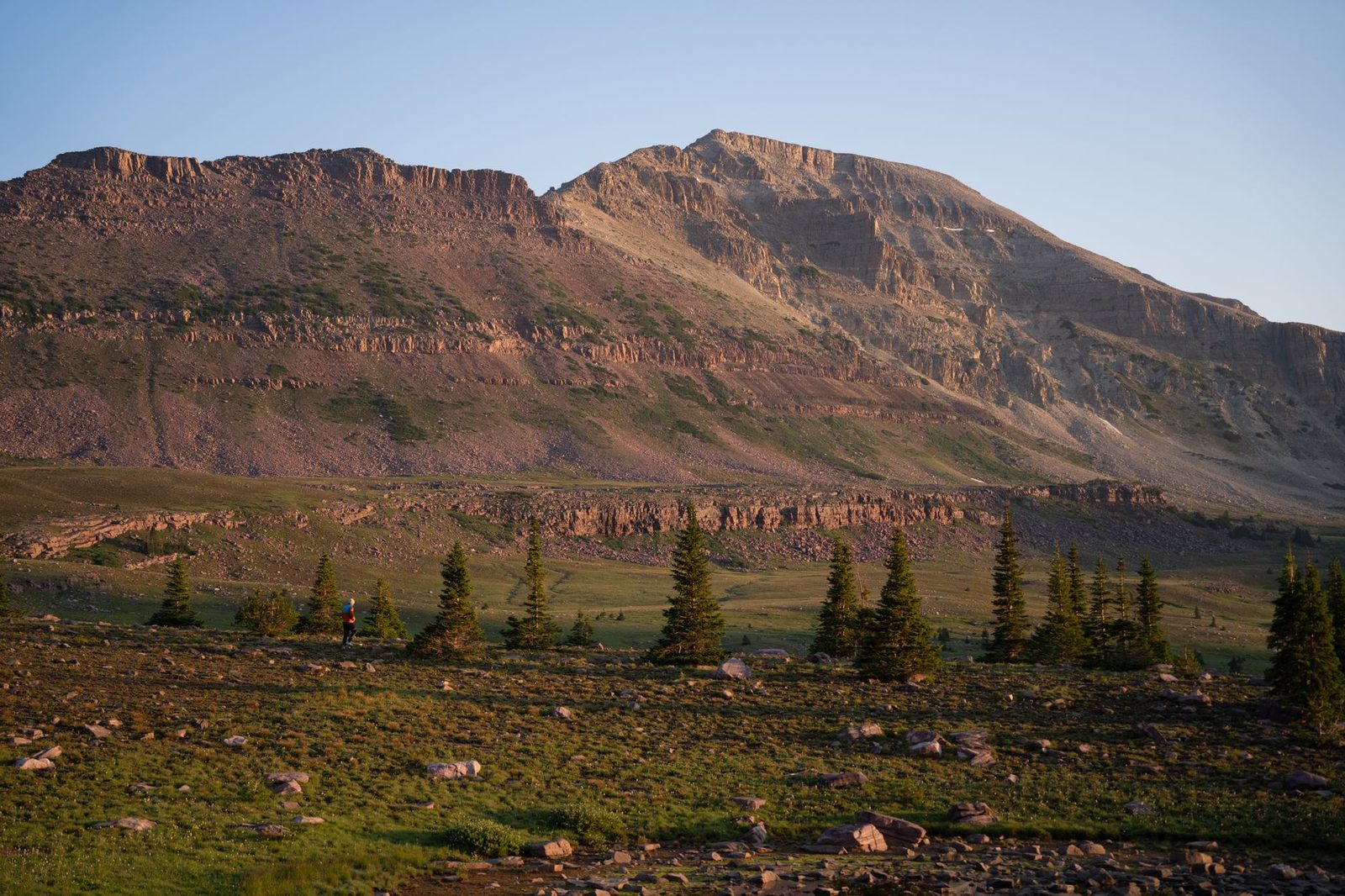 Sagebrush flats and scattered pines below a high mountain ridge