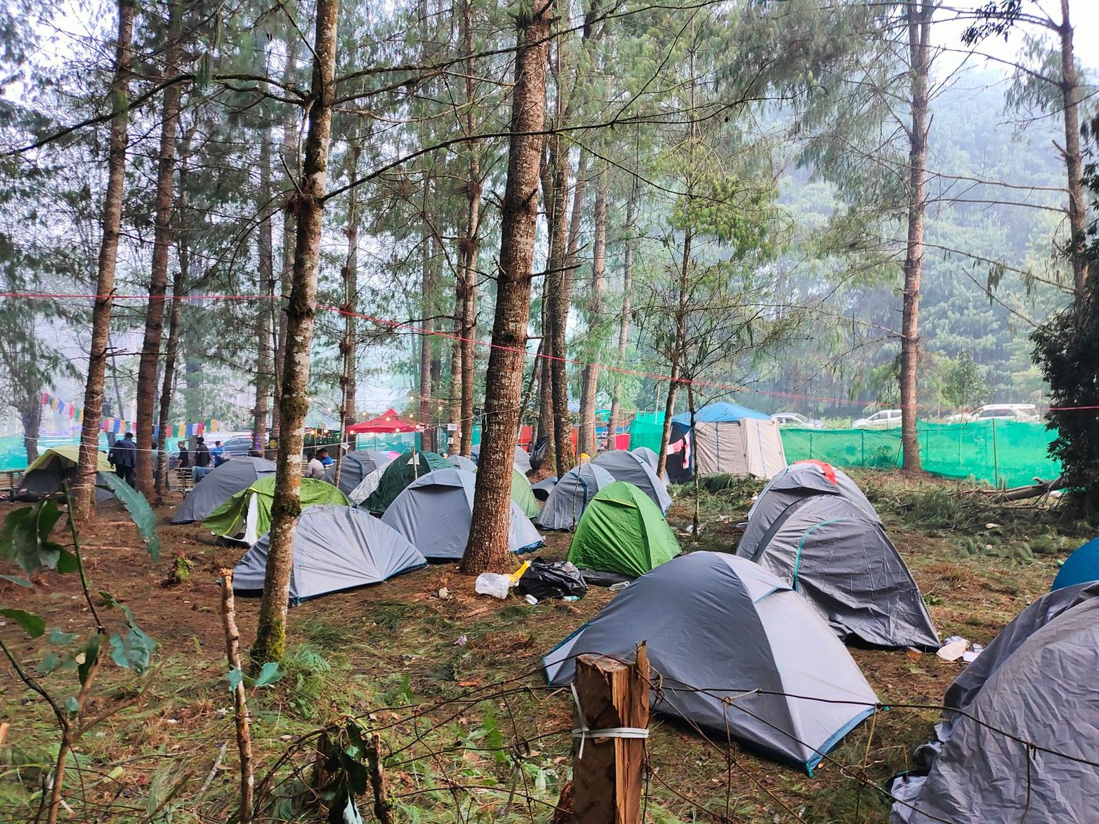 Rows of tents pitched among tall trees at a crew base camp