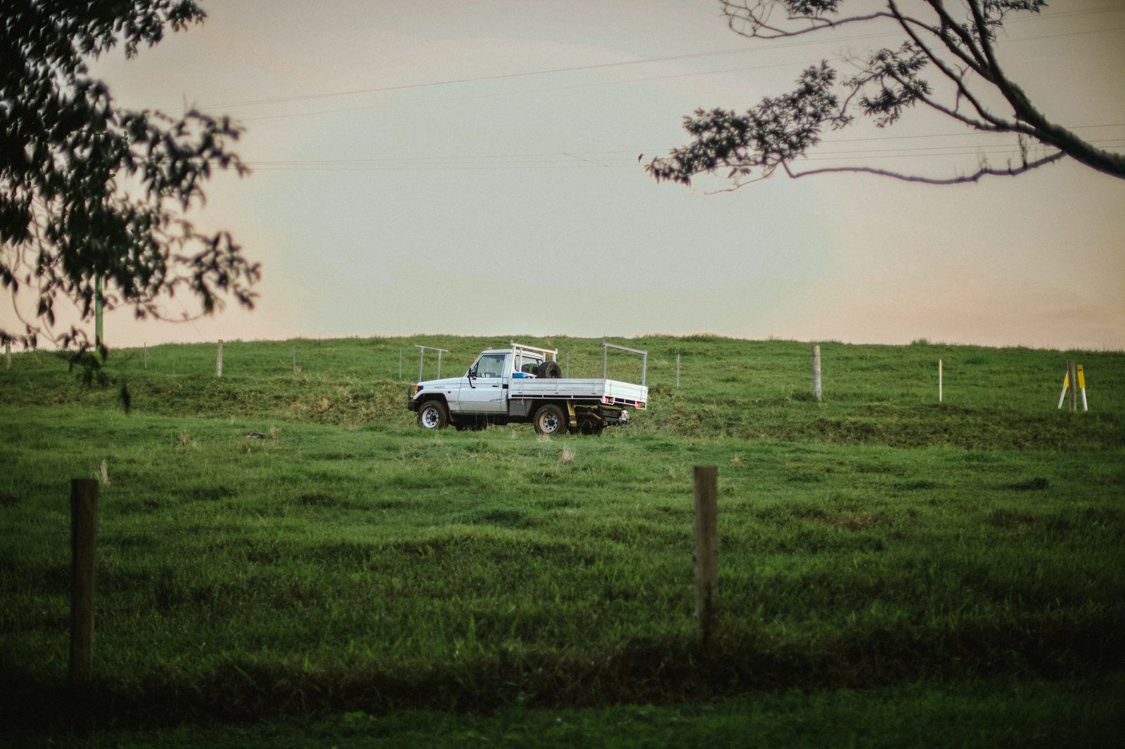 A pickup truck parked on open grassland