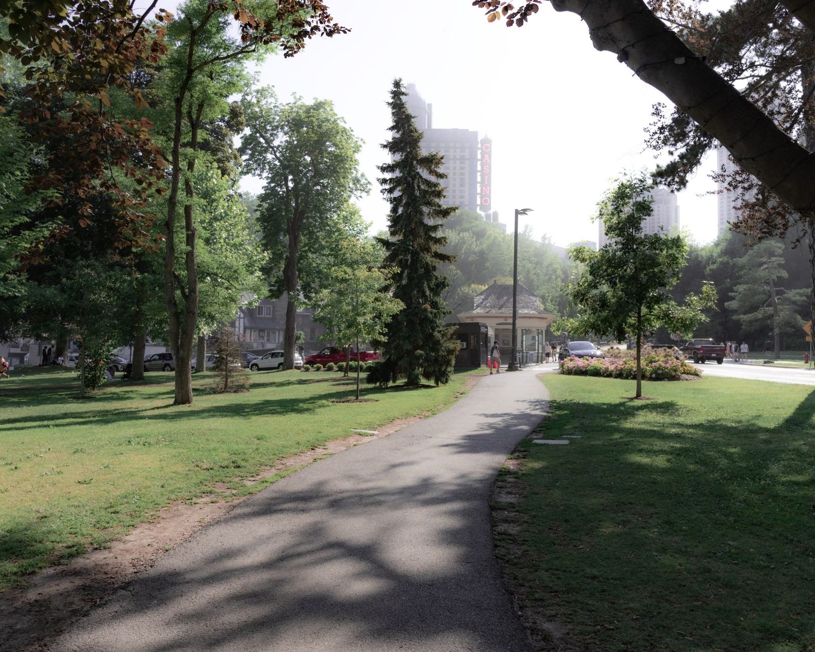 A city park with paths and shade trees on a summer day