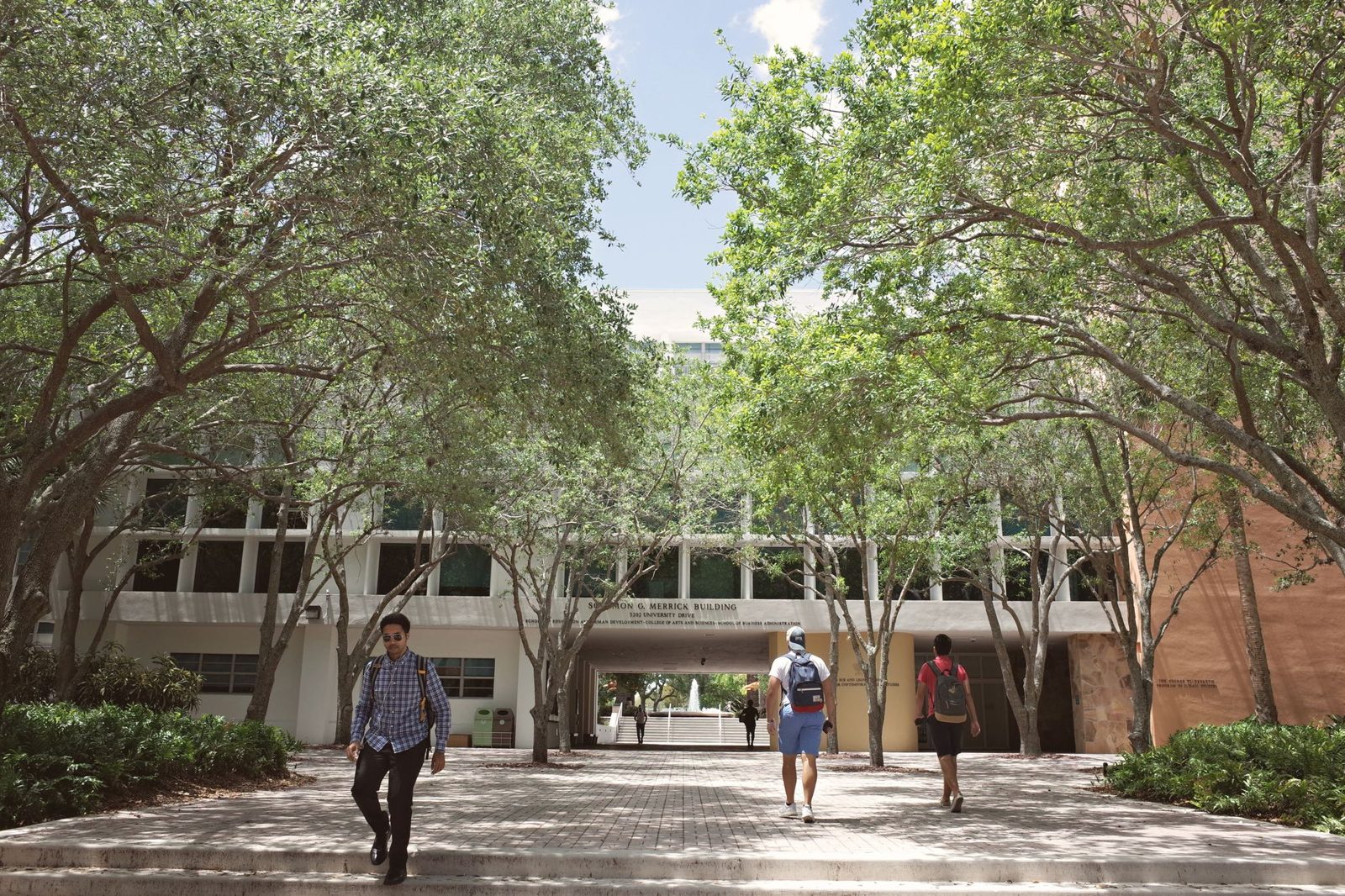 Students walking along a shaded campus path