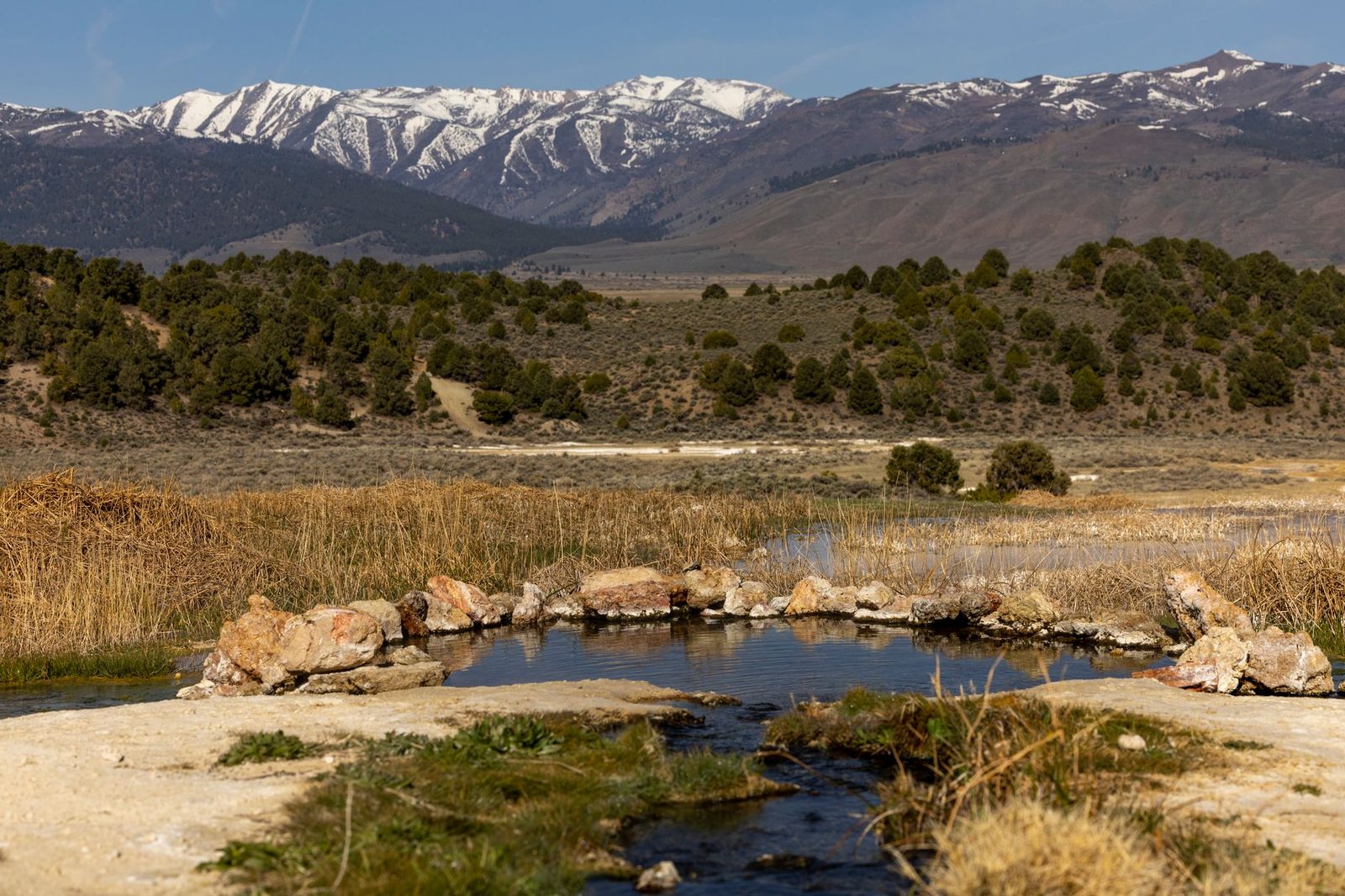 Carson Valley ranch land with the Sierra Nevada behind it