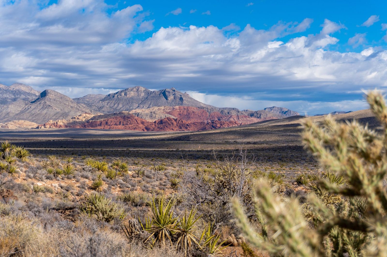 The Las Vegas Valley and its desert mountains at sunrise