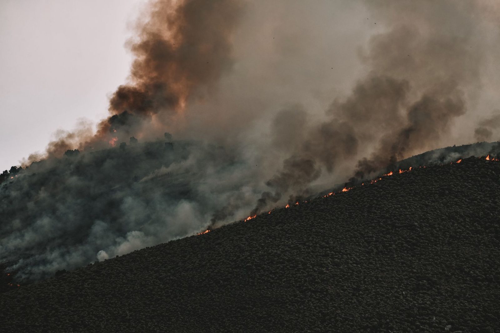 Smoke pouring off a wildfire burning up a steep hillside